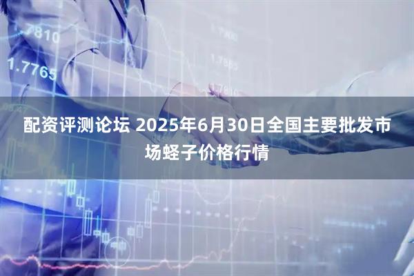 配资评测论坛 2025年6月30日全国主要批发市场蛏子价格行情