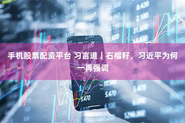 手机股票配资平台 习言道｜石榴籽，习近平为何一再强调