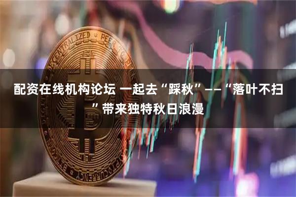 配资在线机构论坛 一起去“踩秋”——“落叶不扫”带来独特秋日浪漫